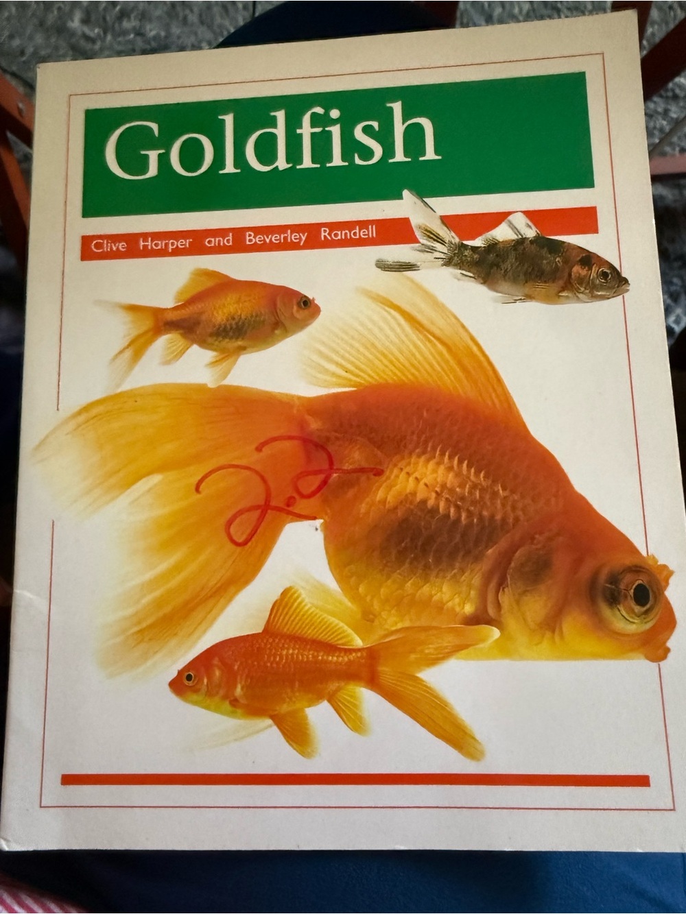 Goldfish Children’s Paperback Book